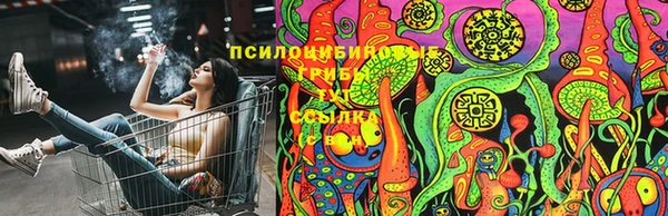 марки lsd Вяземский